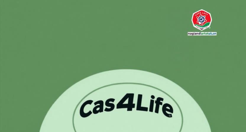 Cash4Life Vs Nagaland State Lottery: Complete Guide for New Lottery Players